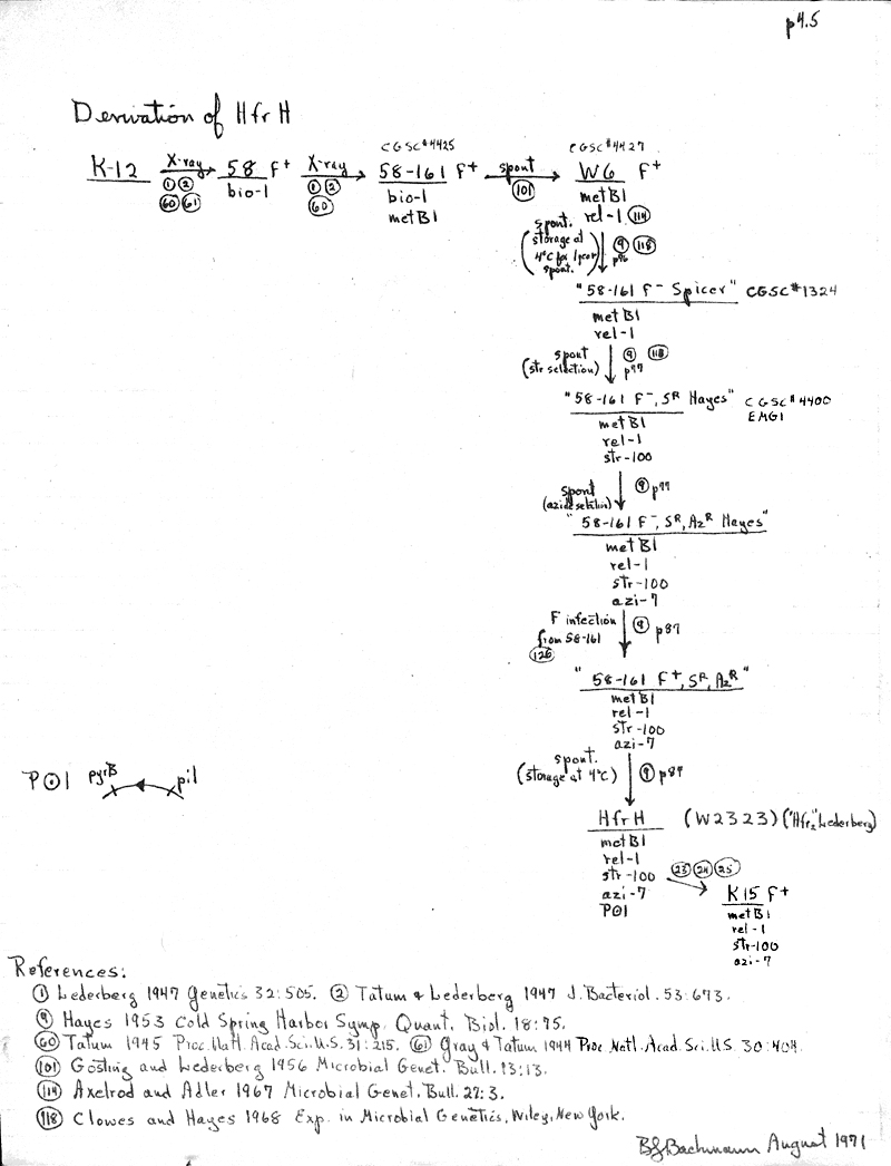 X9 BJBachmann Reconstruction p4.5